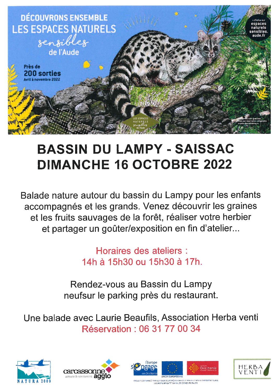 BALADE au BASSIN DU LAMPY