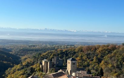 Cérémonie des vœux