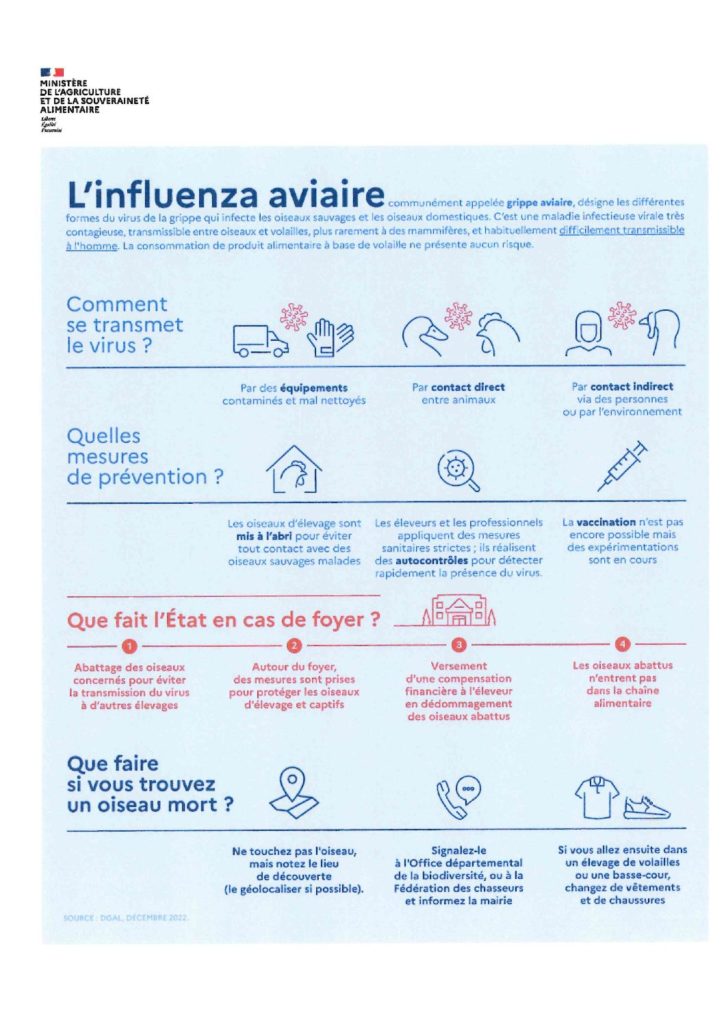 L'influenza aviaire